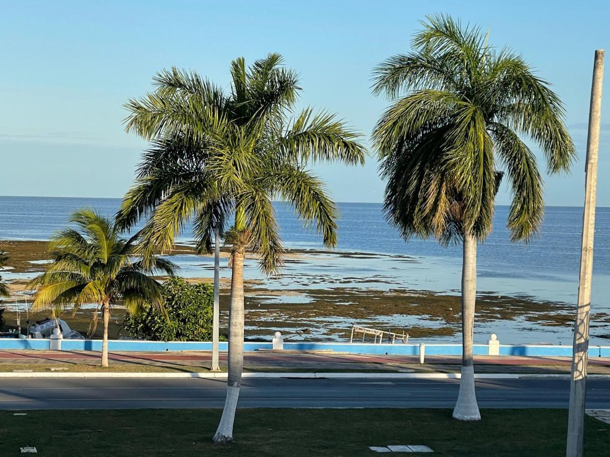 La Casa Del Colibri Lägenhet Campeche Exteriör bild